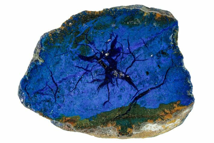 Vivid Blue, Cut/Polished Azurite Nodule - Siberia #263210